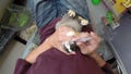 Administering Enrofloxacin antibiotic to small rabbit