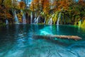 Admirable autumn scenery with spectacular waterfalls in Plitvice National Park Royalty Free Stock Photo