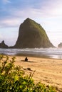 Admiring the Beauty of the Oregon Coast Royalty Free Stock Photo