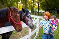 Admiring horses