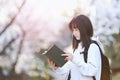 Female college student reading a book in front of cherry blossom trees in spring entrance Royalty Free Stock Photo