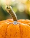 An engagement ring detail shot on an orange pumpkin.