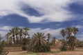 Adobe buildings in M'Hamid El Ghizlane