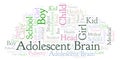 Adolescent Brain word cloud.