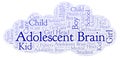 Adolescent Brain word cloud.