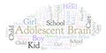 Adolescent Brain word cloud.