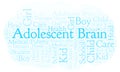 Adolescent Brain word cloud.