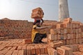 Adolescent girl in brick-field