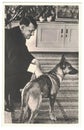 Adolf Hitler and his dog. Hitler was leader of nazi Germany. Reproduction of antique photo Royalty Free Stock Photo