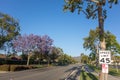 Adolfo Street, Camarillo, CA