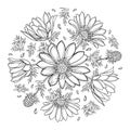 Vector round bouquet with outline Adonis vernalis or spring pheasant`s eye in black isolated on white background.