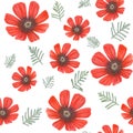 Adonis red flowers, fern leaves watercolor seamless pattern isolated on white. Spring romantic floral background. Blooming flowers