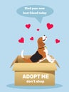 Adopt a Friend. Do not buy a pet. Animal care, adoption concept.