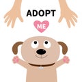Adopt me. Dog face. Pet adoption. Puppy pooch looking up to human hand Royalty Free Stock Photo