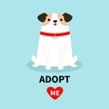 Adopt me. Dog sitting. White puppy pooch. Red collar bone. Cute cartoon kawaii funny baby character. Flat design style. Help