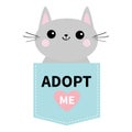 Adopt me. Dont buy. Cat in blue pocket. Pet adoption. Kitten kitty. Pink heart. Flat design. Help homeless animal concept. White b Royalty Free Stock Photo