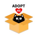 Adopt me. Dont buy. Cat inside opened cardboard package box. Pet adoption. Kitten looking up to red heart. Flat design style. Help