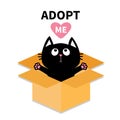 Adopt me. Dont buy. Cat inside opened cardboard package box. Ready for a hugging. Kitten looking up to red heart. Pet adoption. Fl