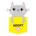 Adopt me. Dont buy. Cat in yellow pocket. Pet adoption. Kitten kitty. Pink heart. Flat design. Help homeless animal concept. White