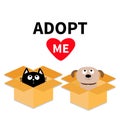 Adopt me. Dont buy. Dog Cat inside opened cardboard package box. Pet adoption. Puppy pooch kitty cat looking up to red heart. Flat Royalty Free Stock Photo