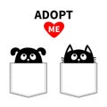 Adopt me. Dont buy. Dog Cat in pocket. Pet adoption. Puppy pooch kitty cat looking up to red heart. Flat design. Help homeless ani Royalty Free Stock Photo