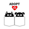 Adopt me. Dont buy. Dog Cat in the pocket. Pet adoption. Puppy pooch kitty cat looking up to red heart. Flat design. Help homeless Royalty Free Stock Photo