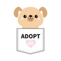 Adopt me. Dont buy. Dog in the pocket. Pet adoption. Puppy pooch Pink heart. Flat design. Help homeless animal concept. White back Royalty Free Stock Photo