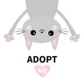 Adopt me. Dont buy. Gray cat. Hanging upsidedown. Pink heart. Pet adoption. Kawaii animal. Cute cartoon kitty character. Funny bab Royalty Free Stock Photo