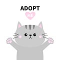 Adopt me. Dont buy. Gray cat silhouette. Hand hug. Paw print Pink heart. Pet adoption. Cute cartoon kitty character. Funny baby ki