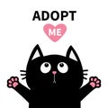 Adopt me. Dont buy. Pink heart. Black cat face head, paw print silhouette looking up. Cute cartoon character. Help animal concept.