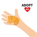 Adopt me. Hand arm holding orange red cat. Animal pet. Helping hands concept. Funny gift. Cute cartoon character. Close up body pa Royalty Free Stock Photo