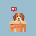 Adopt pet concept illustration. Dog rescue, protection, adoption concept. Flyer, poster template.Cute beagle puppy in a box Royalty Free Stock Photo