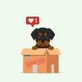 Adopt pet concept illustration. Dog rescue, protection, adoption concept. Flyer, poster template.Cute rottweiler puppy in a box