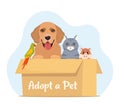 Adopt a pet. Cute homeless puppy, kitten, hamster, parrot inside a cardboard box are waiting for the adoption. Vector illustration