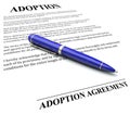 Adoption Agreement Contract Pen Signing Official Legal Document