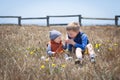 Adorabe little brothers playing with wild flowers