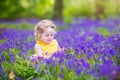 Adorabe toddler girl in bluebell flowers in spring Royalty Free Stock Photo