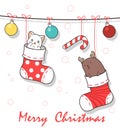 Adorable animals inside socks in Christmas day