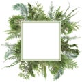 Adorable arranged background with different kinds of fresh green isolated conifer leaves, fir branches