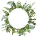 Adorable arranged background with different kinds of fresh green isolated conifer leaves, fir branches Royalty Free Stock Photo