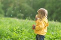 Adorable baby blow soap bubbles in park