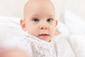 Adorable baby boy with blue eyes looking directly at camera trying to reach for it. Cute toddler close up. Royalty Free Stock Photo