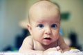 Adorable baby boy crawling in a bedroom Royalty Free Stock Photo