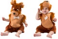 Adorable baby boy,dressed in furry teddy bear carnival suit, isolated on white background. Royalty Free Stock Photo