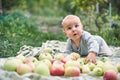 Adorable baby boy eating apple playing in the garden . Child having fun on family picnic in summer garden. Kids eat fruit. Healthy Royalty Free Stock Photo