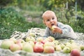 Adorable baby boy eating apple playing in the garden . Child having fun on family picnic in summer garden. Kids eat fruit. Healthy Royalty Free Stock Photo