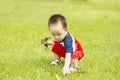 Adorable baby boy pick leaf up