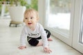 Adorable baby boy sitting by the window. Toddler learning how to stand up unassisted Royalty Free Stock Photo