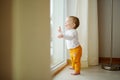 Adorable baby boy standing by the window. Toddler learning how to stand up unassisted Royalty Free Stock Photo