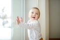 Adorable baby boy standing by the window. Toddler learning how to stand up unassisted Royalty Free Stock Photo